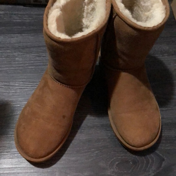 UGG Shoes - Chestnut ugg